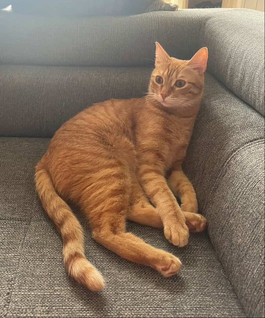 Bo-Katan