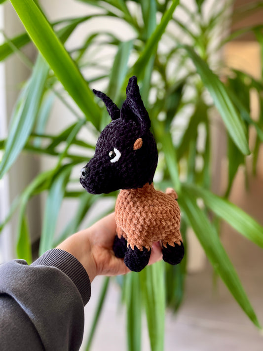 Nala [Commande Custom]