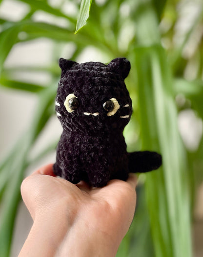 Aria [Commande Custom]