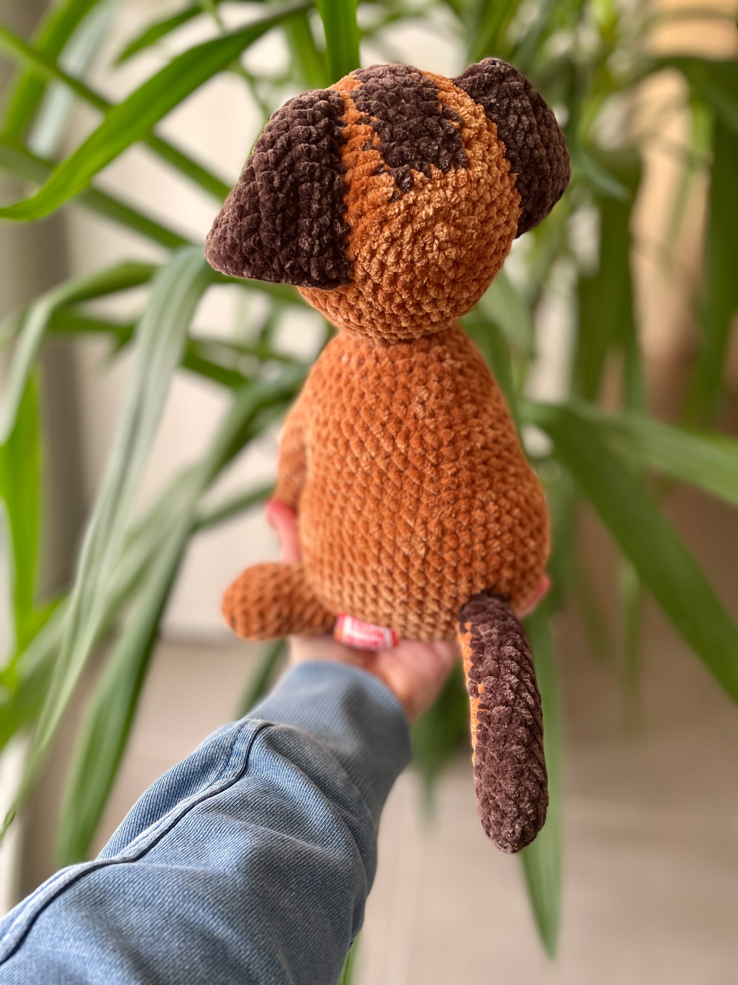 Dino [Commande Custom]