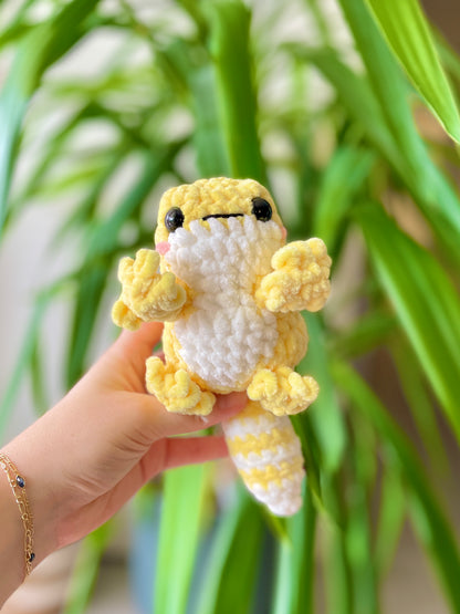 Gecko [plusieurs coloris]
