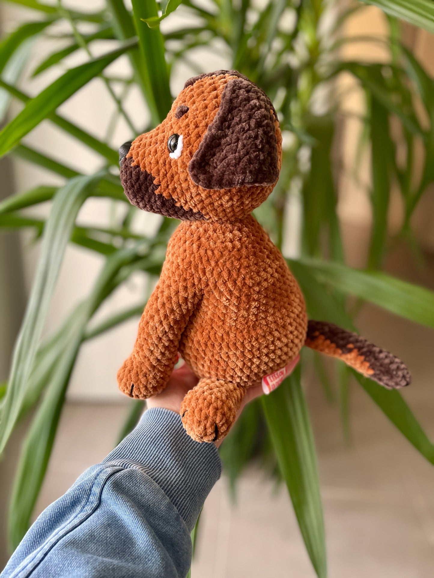 Dino [Commande Custom]