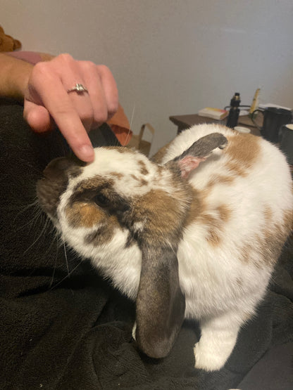 Moon [Commande Custom]