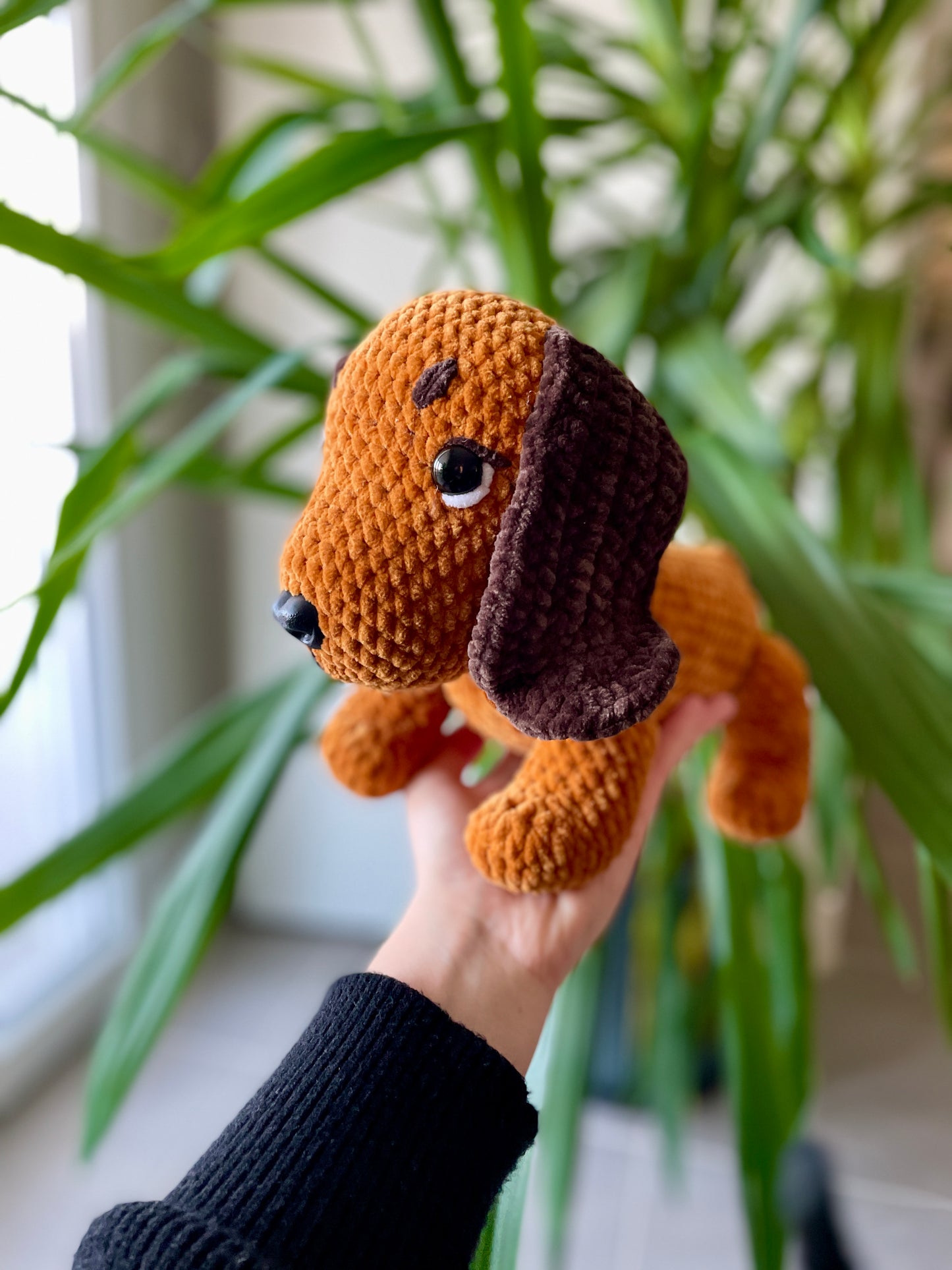 Nutine [Commande Custom]