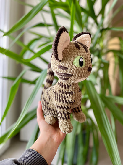 Hysis [Commande Custom]