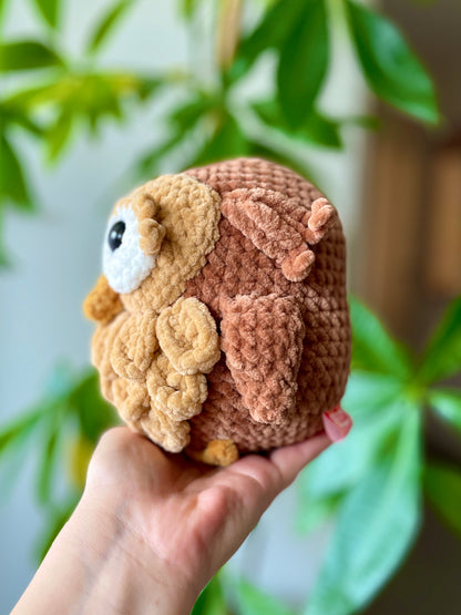 Chouette [Commande Custom]