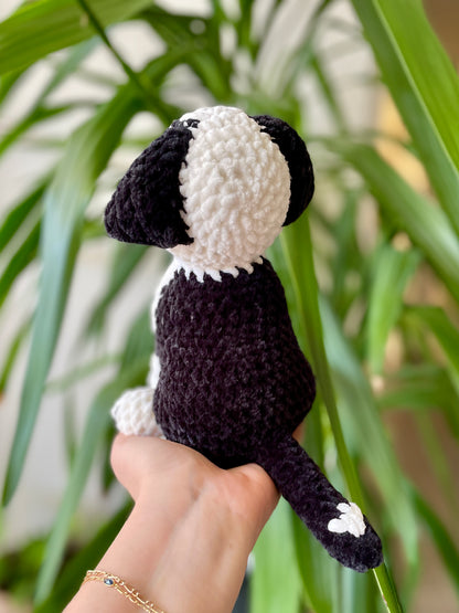 Raoul [Commande Custom]