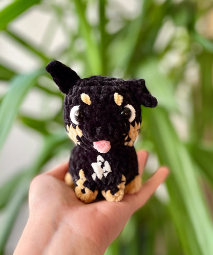 Nouchka [Commande Custom]