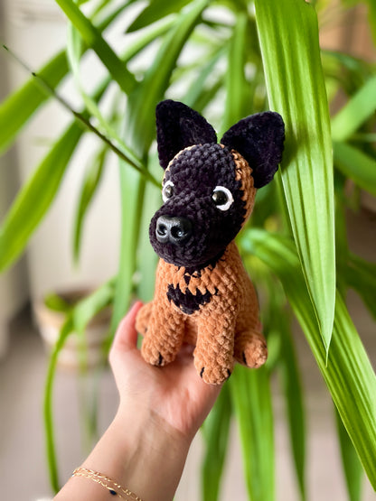 Diego [Commande Custom]