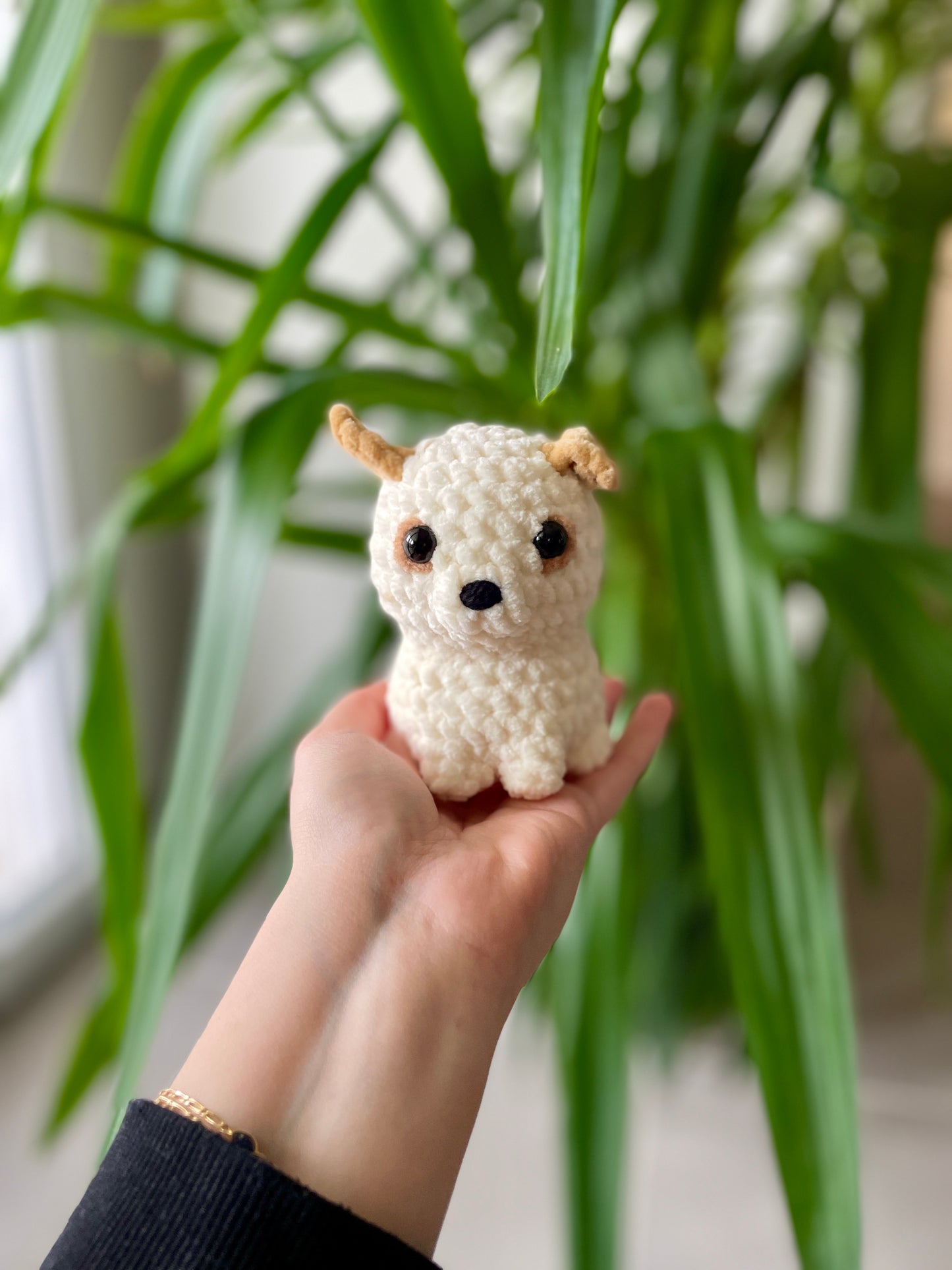 Blaze [Commande Custom]