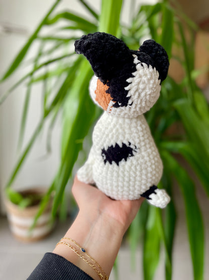 Jack [Commande Custom]