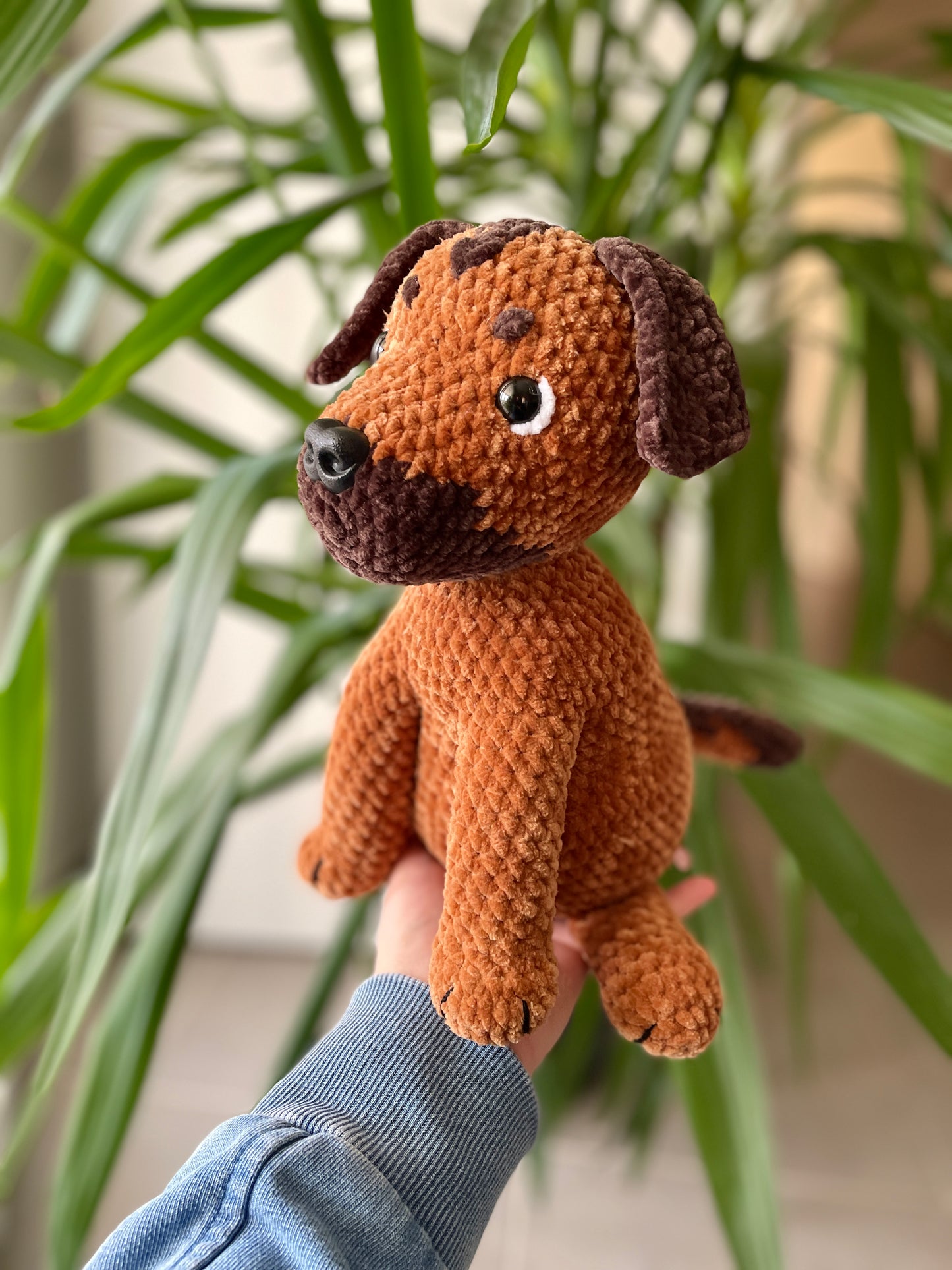 Dino [Commande Custom]