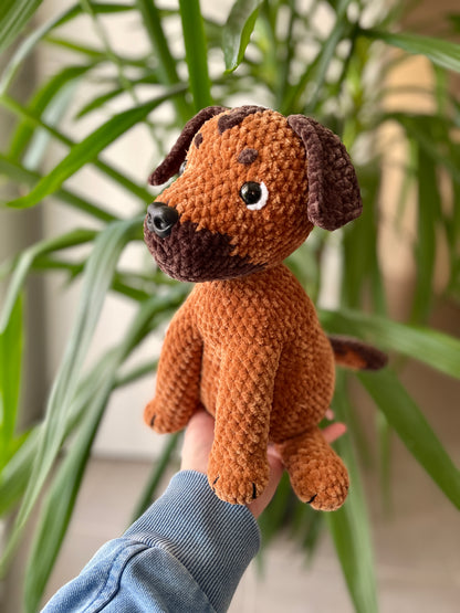 Dino [Commande Custom]