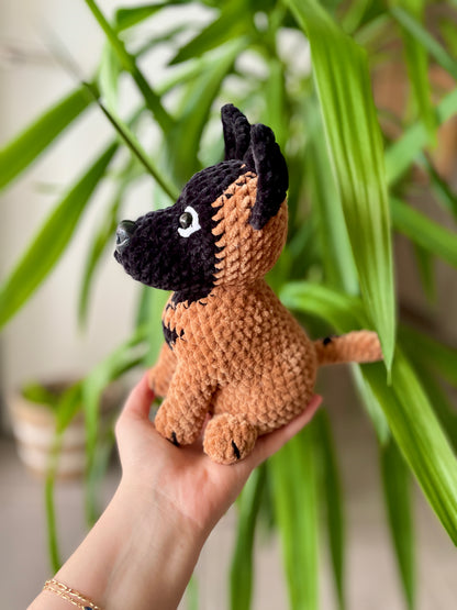 Diego [Commande Custom]