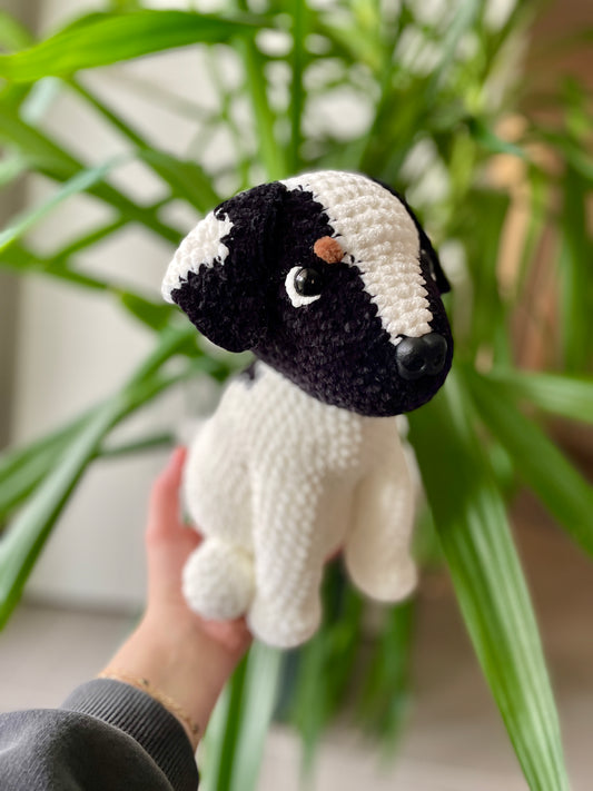 Bucky [Commande Custom]