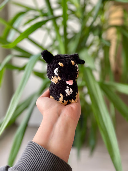 Nouchka [Commande Custom]