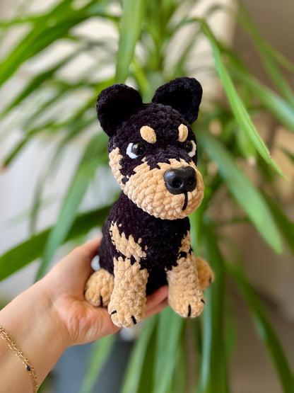 Ron [Commande Custom]