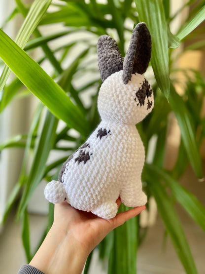 Zebulon [Commande Custom]
