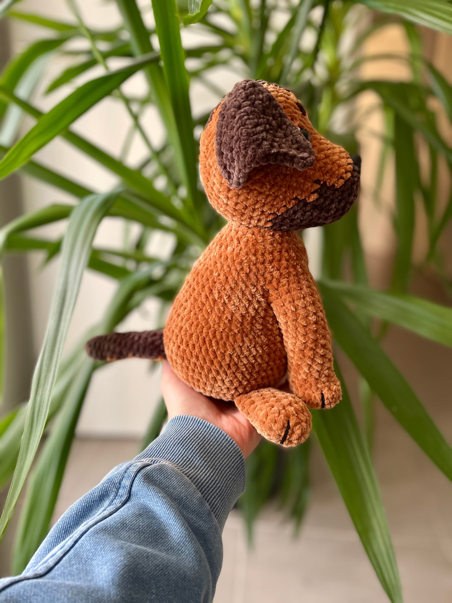 Dino [Commande Custom]