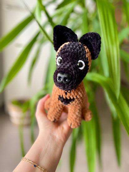 Diego [Commande Custom]