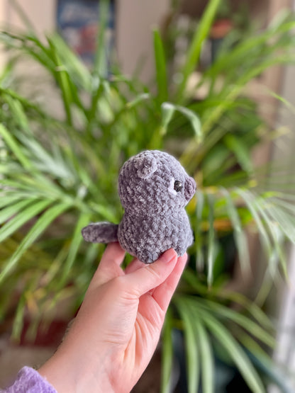 Iggy [Commande Custom]