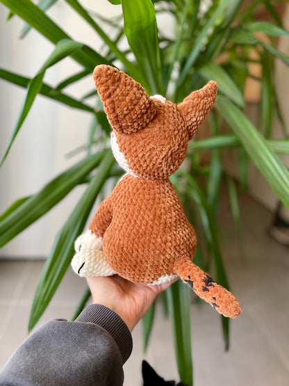 Amstaff croisé Boxer [Commande Custom]