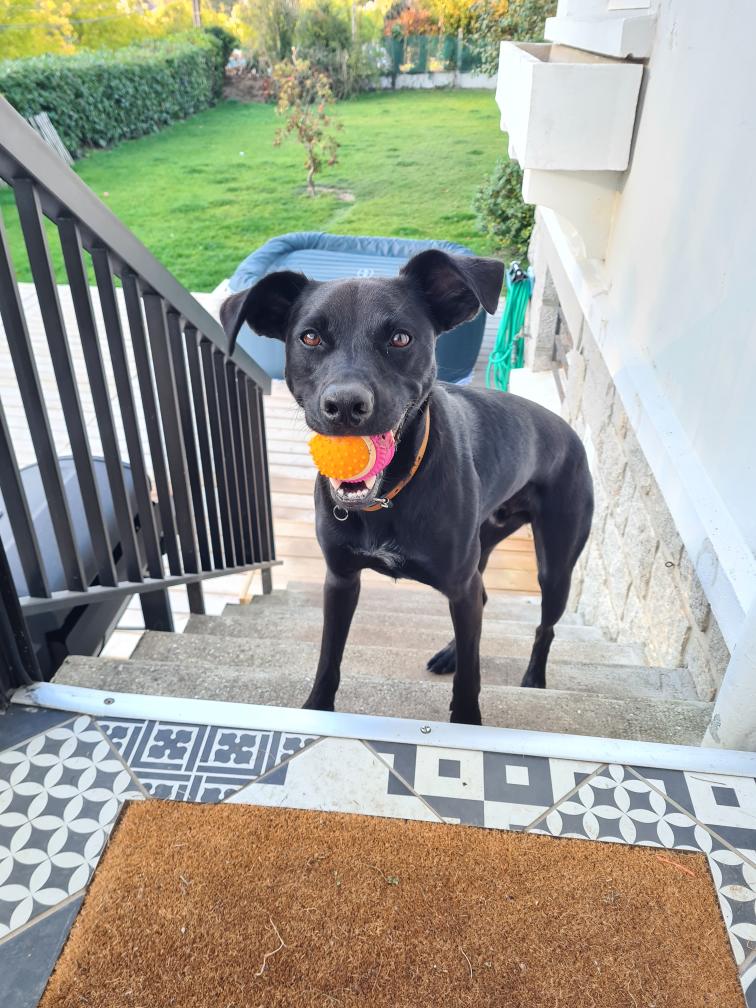 Uno [Commande Custom]