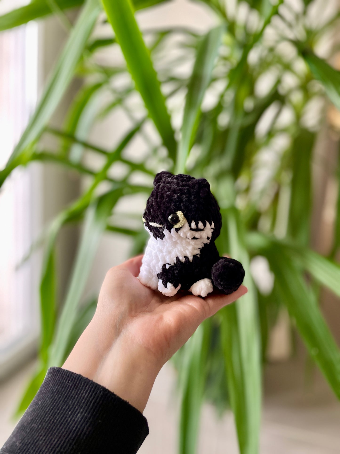 Kadji [Commande Custom]