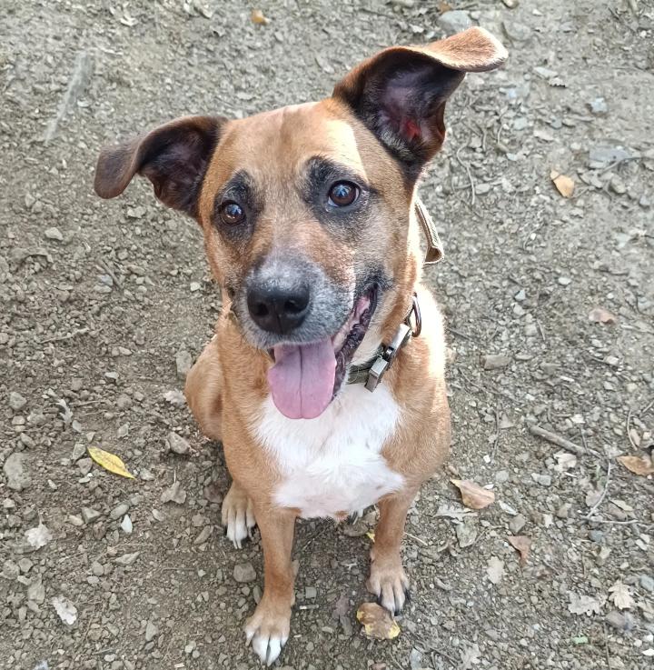 Tina [Commande Custom]