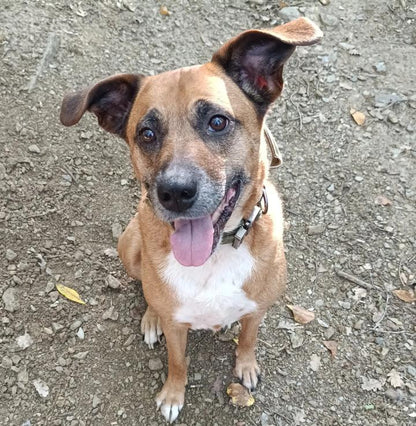 Tina [Commande Custom]