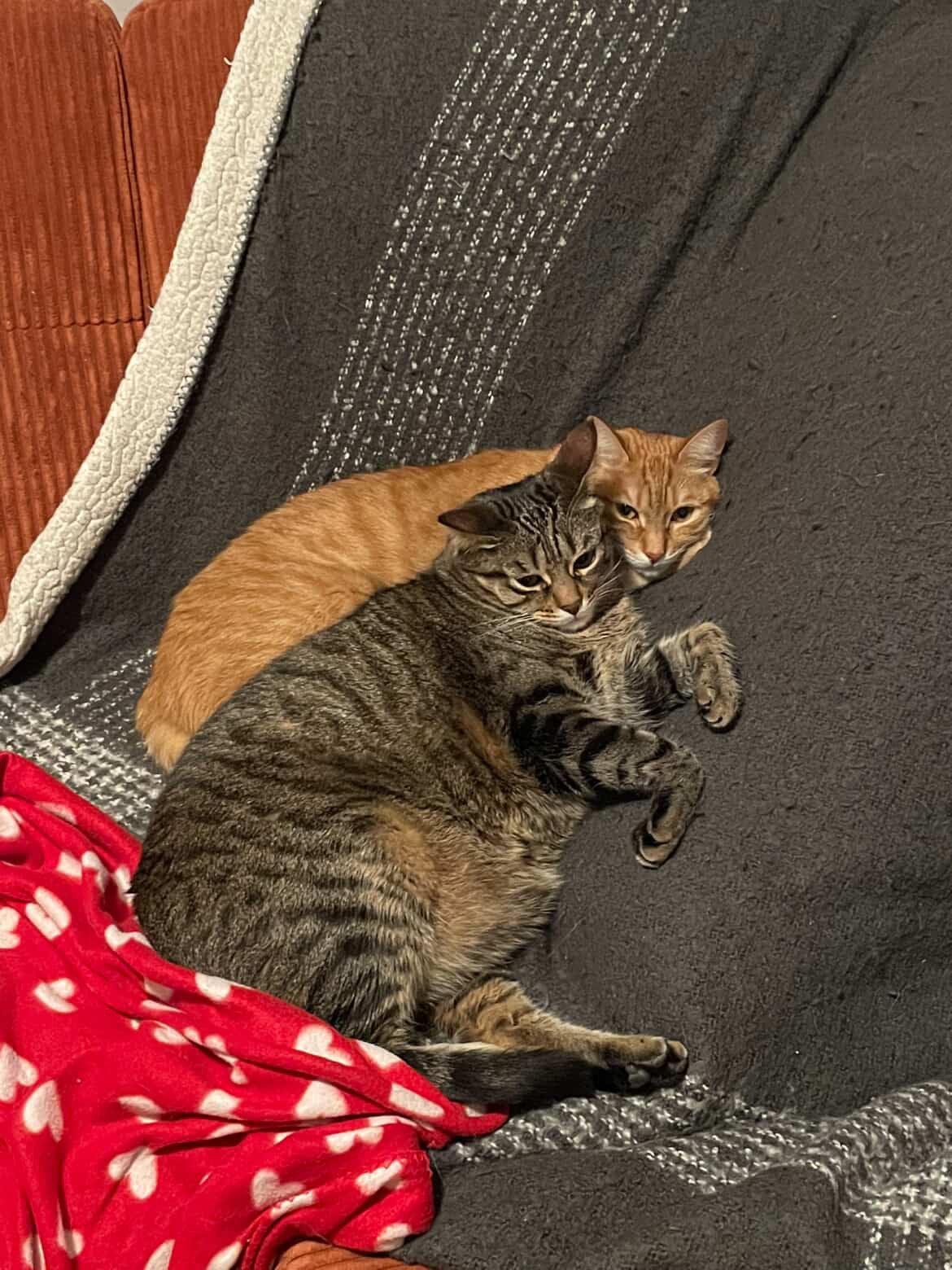 Echo, Bo-Katan & Galaté [Commande Custom]