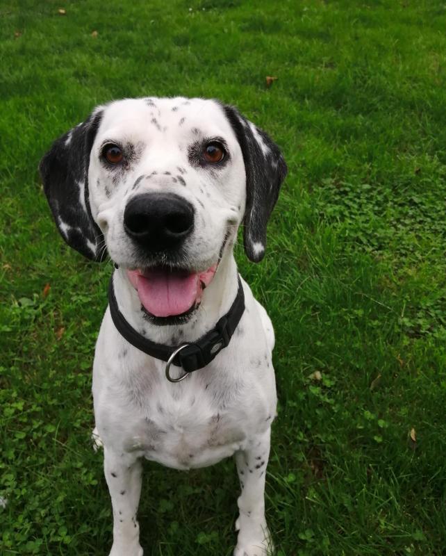 Patch [Commande Custom]