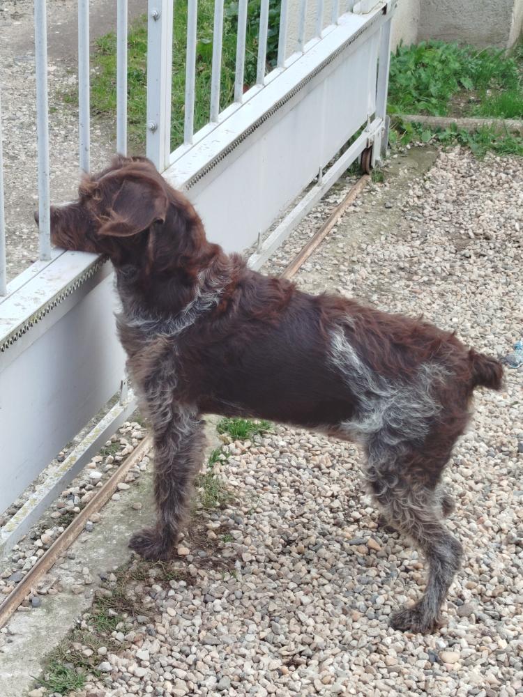 Ruby [Commande Custom]