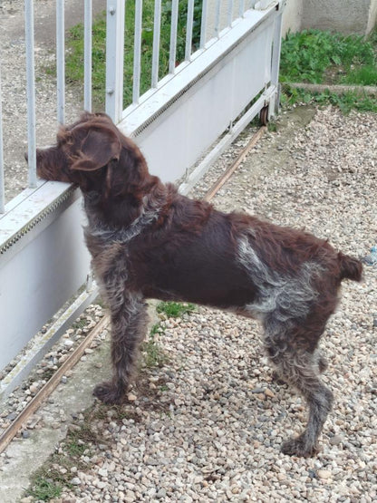 Ruby [Commande Custom]