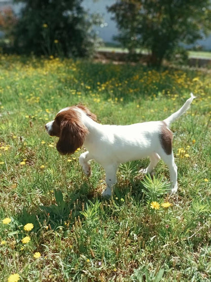 Petit chien [Commande Custom]