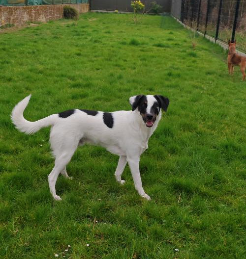 Bucky [Commande Custom]