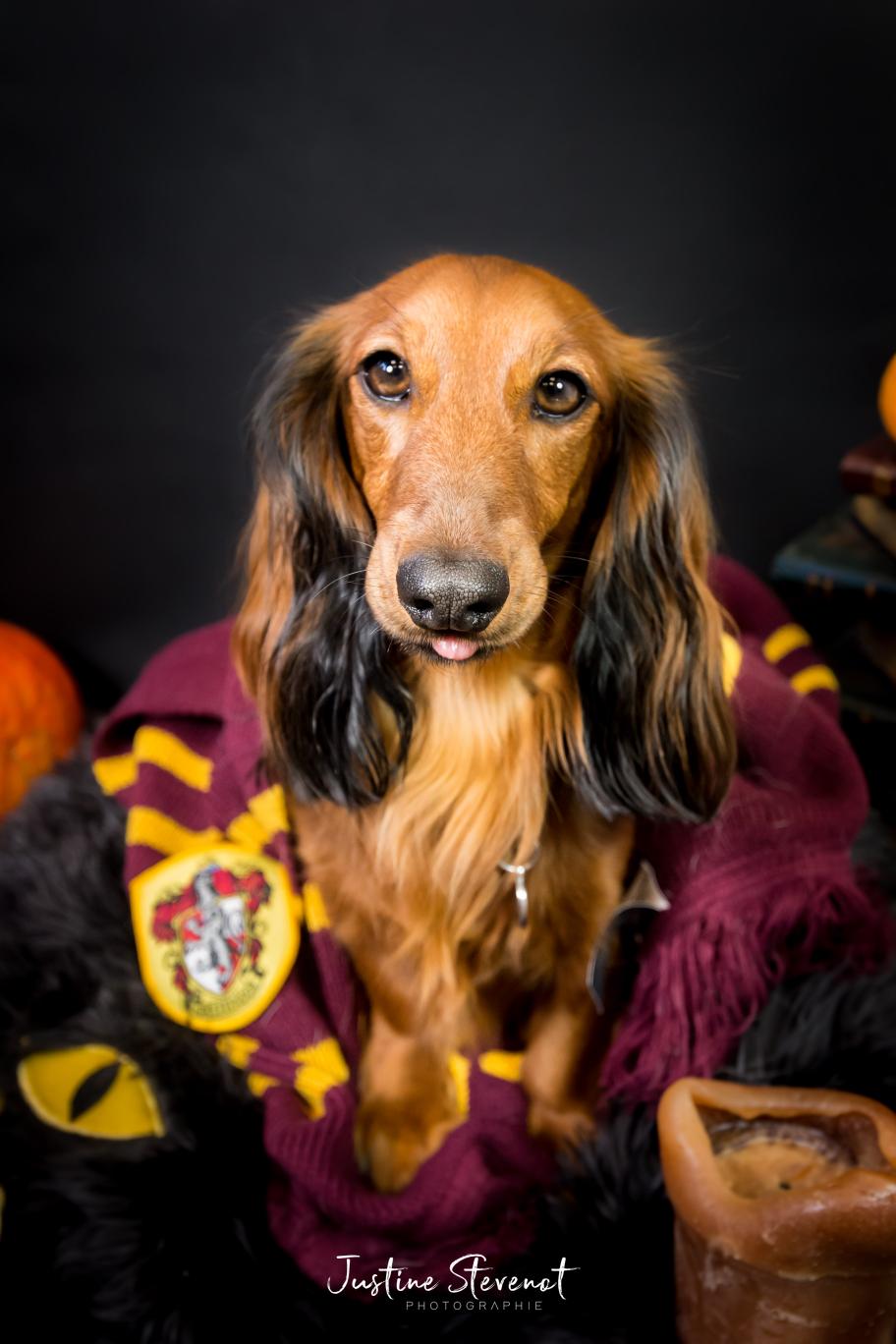 Nutine [Commande Custom]