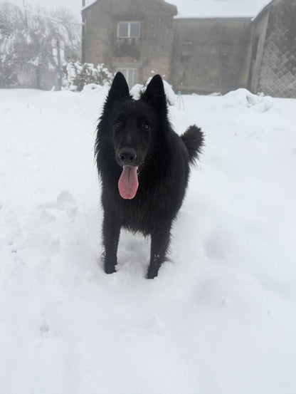 Valak [Commande Custom]