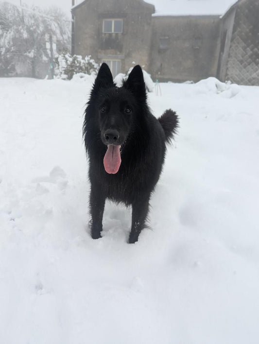 Valak [Commande Custom]