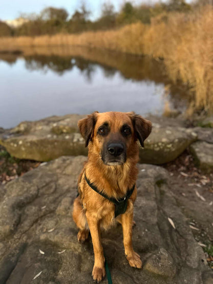 Kodak [Commande Custom]