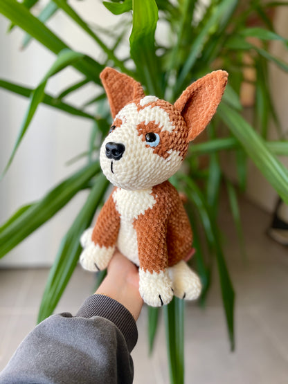 Amstaff croisé Boxer [Commande Custom]