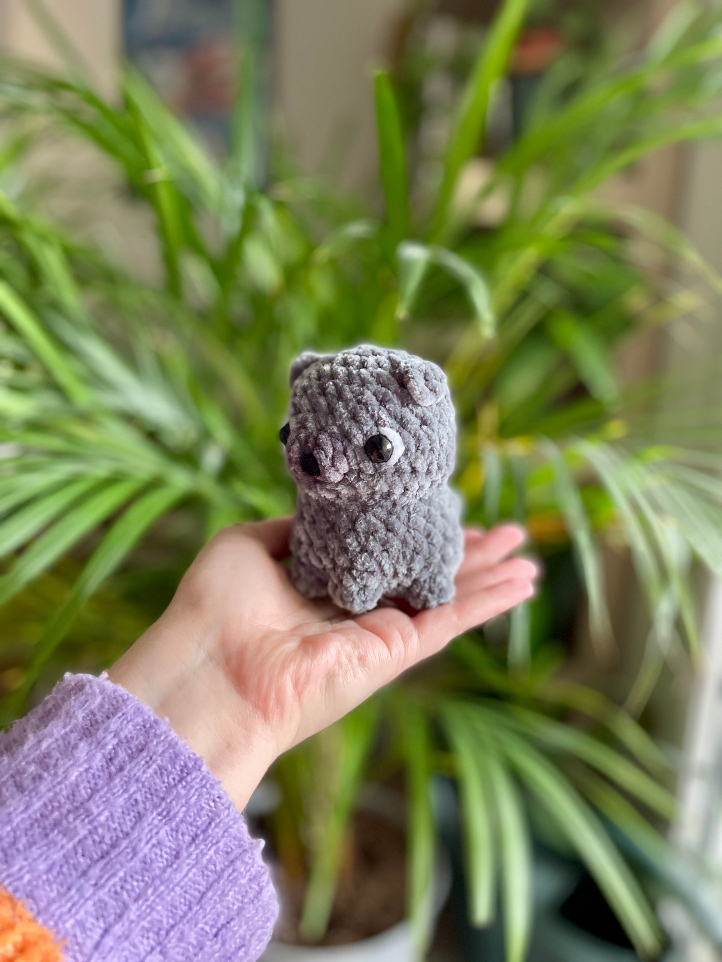 Iggy [Commande Custom]