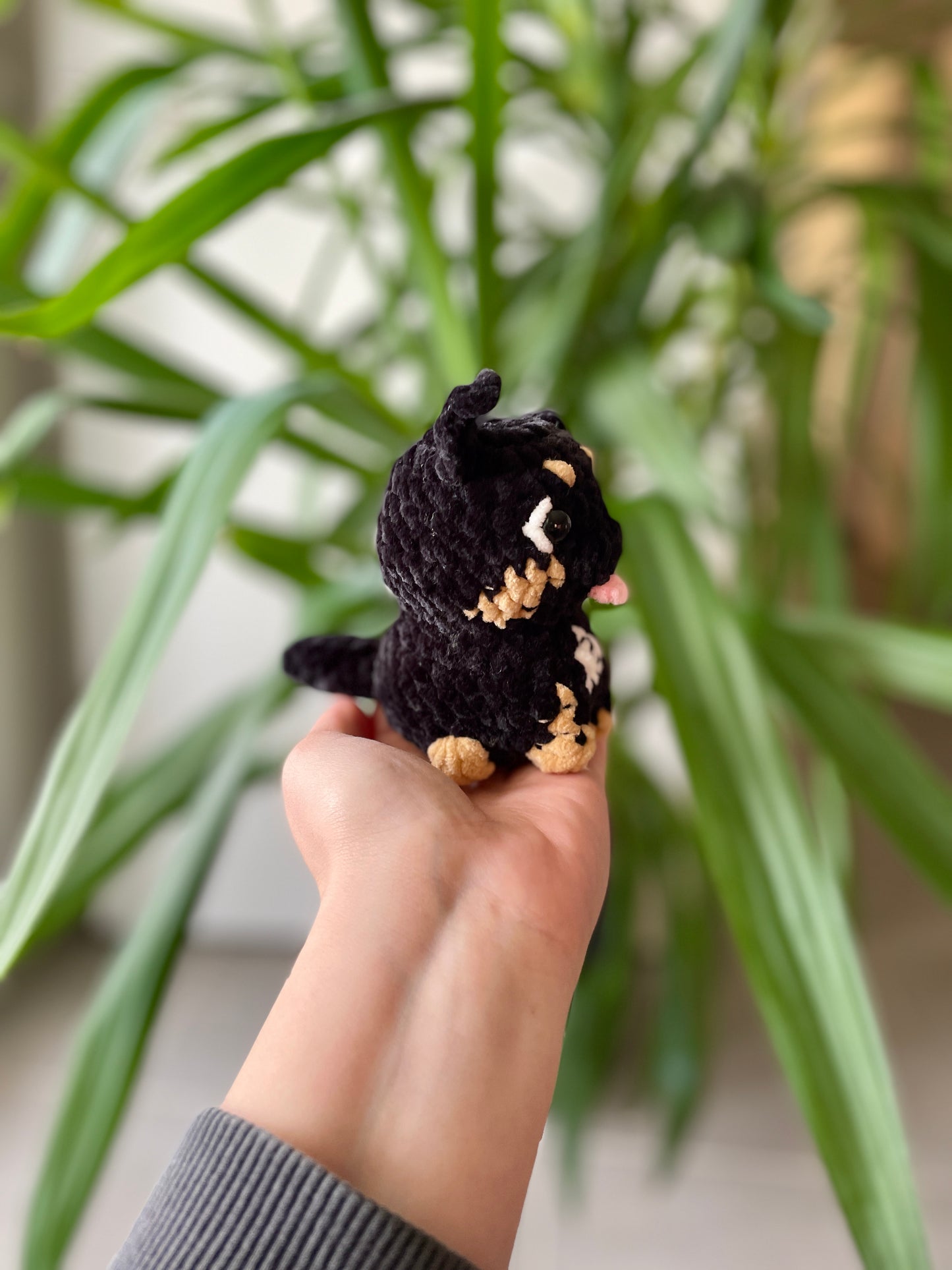 Nouchka [Commande Custom]