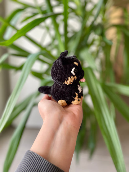 Nouchka [Commande Custom]