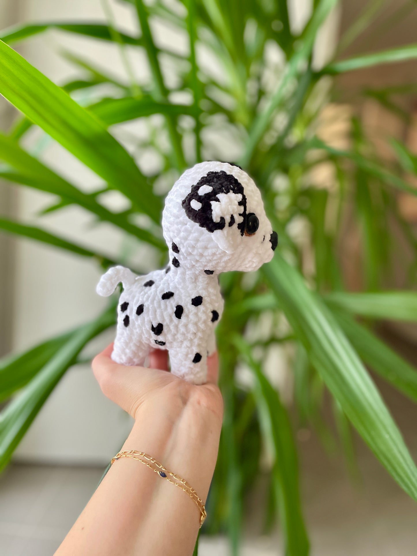 June [Commande Custom]