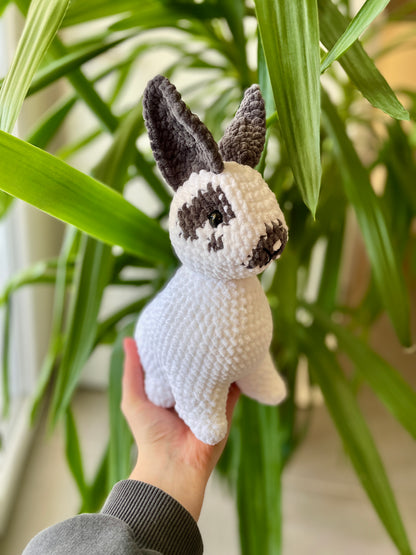 Zebulon [Commande Custom]
