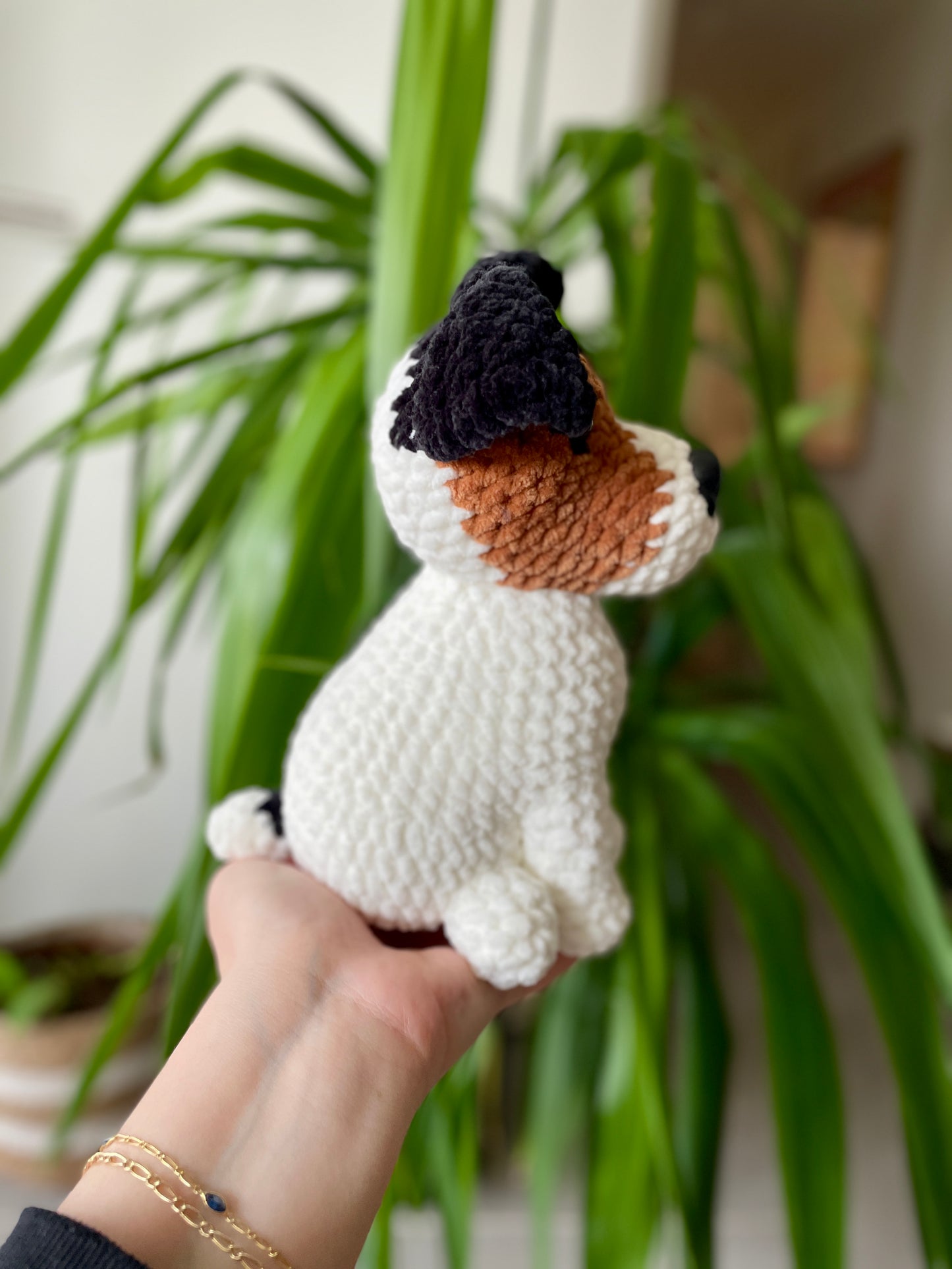 Jack [Commande Custom]