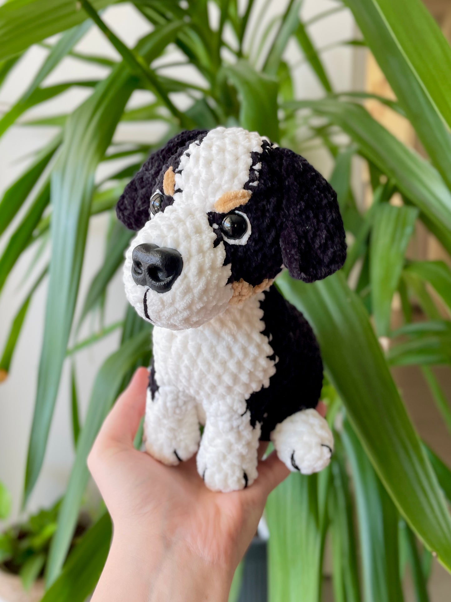 Raoul [Commande Custom]