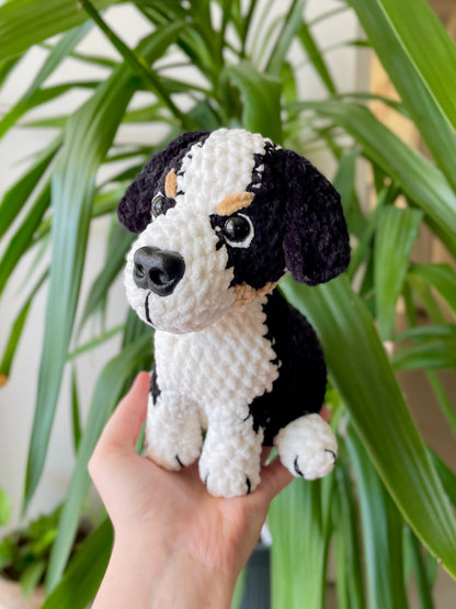 Raoul [Commande Custom]