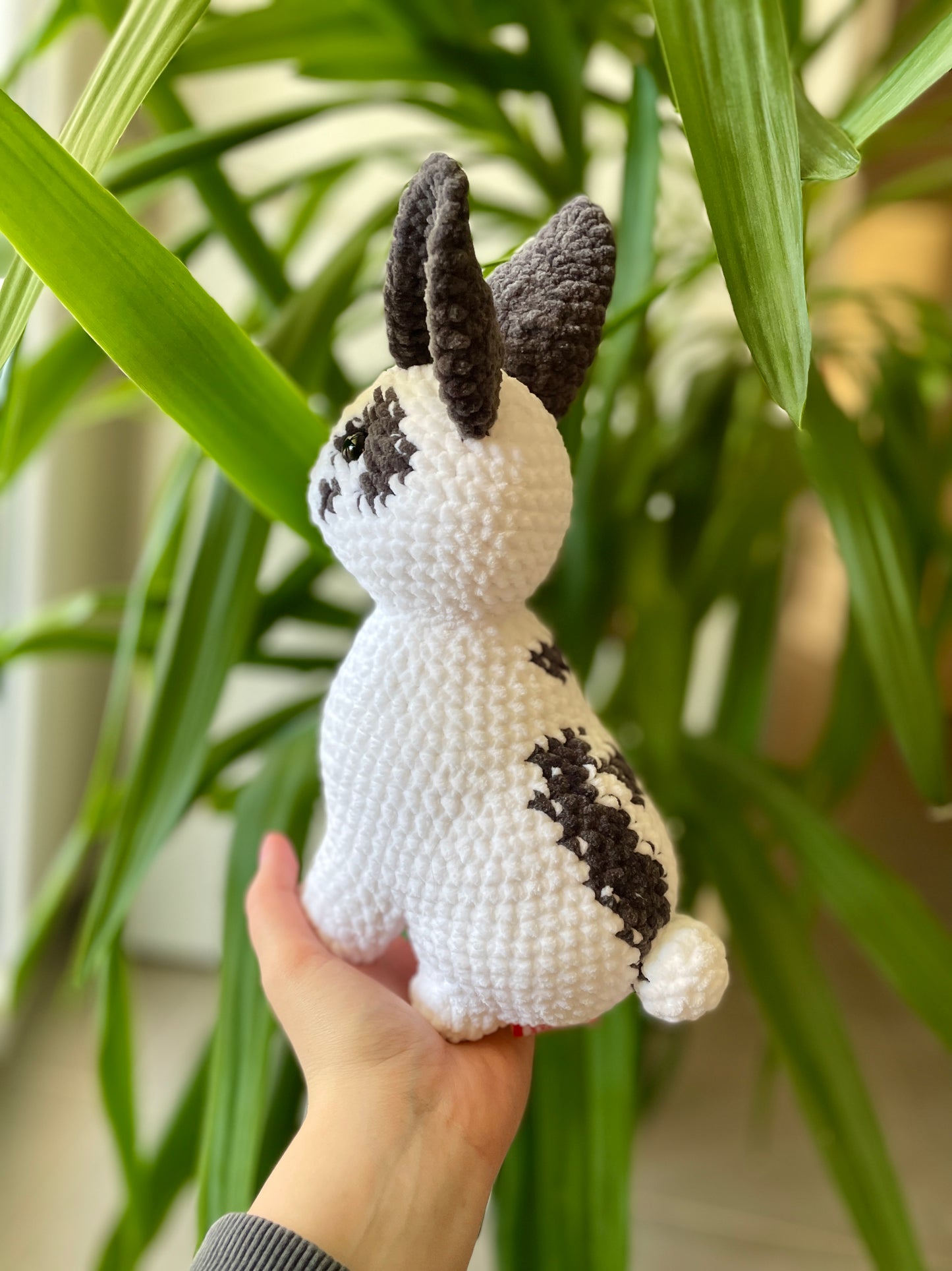Zebulon [Commande Custom]